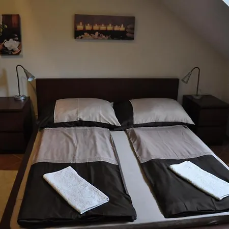 Orchidea Apartman 아파트
